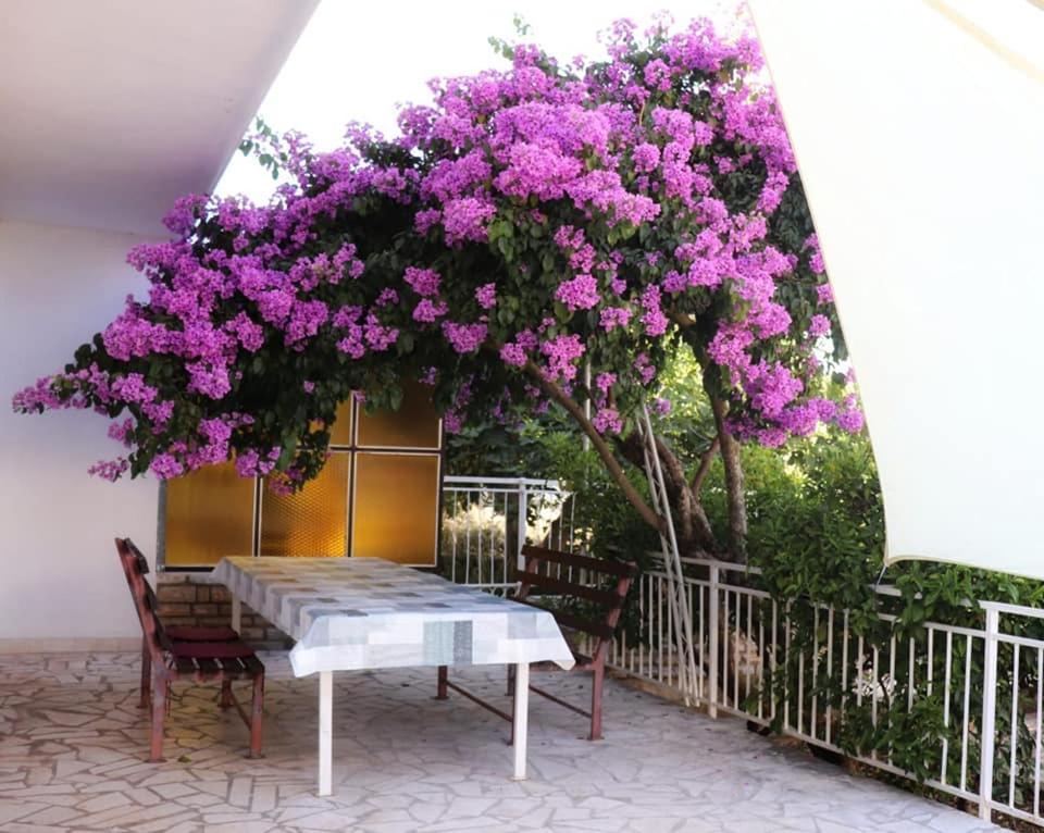 Apartman Simac Okrug Gornji โตรกีร์ ภายนอก รูปภาพ